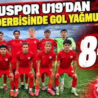 Spor