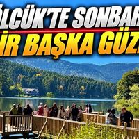 Kültür-Sanat-Yaşam