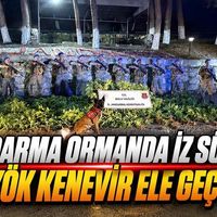 Asayiş