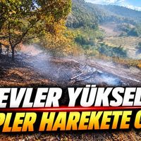 Asayiş