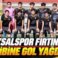 Spor