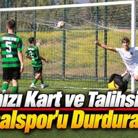 Spor