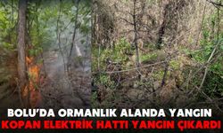 Bolu’da Ormanlık Alanda Yangın: Kopan Elektrik Hattı Yangın Çıkardı