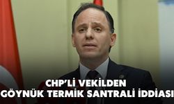 CHP’li Vekilden Göynük Termik Santrali İddiası