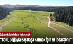BOLU'DAKİ YAYLALAR DOĞAYLA İÇ İÇE VAKİT GEÇİRMEK İSTEYENLERİ AĞIRLIYOR