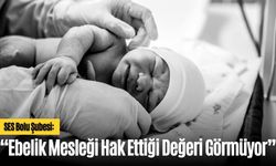 SES Bolu Şubesi: "Ebelik Mesleği Hak Ettiği Değeri Görmüyor"