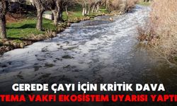 Gerede Çayı için kritik dava: TEMA Vakfı ekosistem uyarısı yaptı