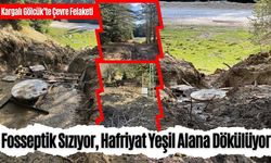 KARGALI GÖLCÜK TABİAT PARKI’NDA ÇEVRE KATLİAMI