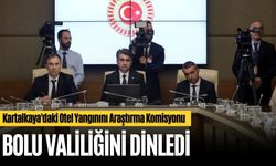 Kartalkaya komisyonu Vali Aydın’ı dinledi