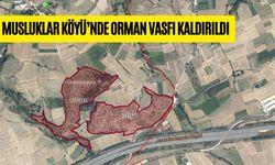 MUSLUKLAR KÖYÜ’NDE ORMAN VASFI KALDIRILDI