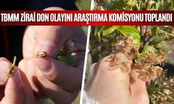 TBMM ZİRAİ DON OLAYINI ARAŞTIRMA KOMİSYONU TOPLANDI