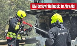 TEM’de Seyir Halindeki Tır Alev Aldı
