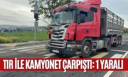 TIR İLE KAMYONET ÇARPIŞTI: 1 YARALI