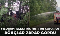 Yıldırım Elektrik Hattını Kopardı, Ağaçlar Zarar Gördü