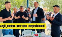 Köy Halkıyla Buluşan Akgül, Talepleri Dinledi