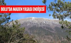 BOLU’DA MADEN YASASI ENDİŞESİ