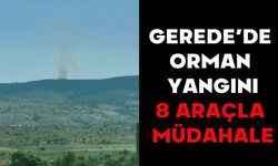Gerede’de Orman Yangını: 8 Araçla Müdahale