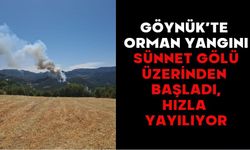 Göynük’te Orman Yangını: Sünnet Gölü Üzerinden Başladı, Hızla Yayılıyor