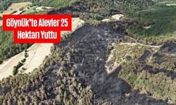 Göynük’te Alevler 25 Hektarı Yuttu
