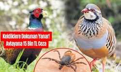 Doğaya Salınan Kekliklerle Kene Mücadelesi Sürüyor