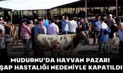 Mudurnu’da Hayvan Pazarı Şap Hastalığı Nedeniyle Kapatıldı