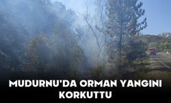 Mudurnu'da Orman Yangını Korkuttu