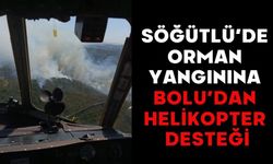 Söğütlü’de orman yangınına Bolu’dan helikopter desteği