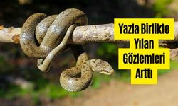 PANİK YOK, BİLİNÇLİ DAVRANIŞ ŞART