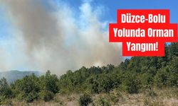 Düzce-Bolu Yolunda Orman Yangını! Ekipler Bölgeye Sevk Edildi