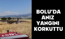 Bolu’da Anız Yangını Korkuttu