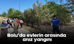 Bolu’da evlerin arasında anız yangını