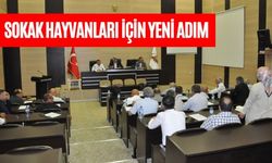 Bolu’da Sokak Hayvanları İçin Yeni Adım