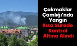 Çakmaklar Çamlığı’nda Yangın Kısa Sürede Kontrol Altına Alındı