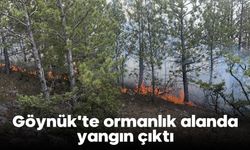 Göynük'te ormanlık alanda yangın çıktı
