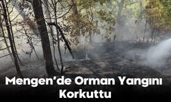 Mengen'de Orman Yangını Korkuttu