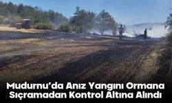Mudurnu’da Anız Yangını Ormana Sıçramadan Kontrol Altına Alındı