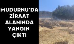 Mudurnu’da Ziraat Alanında Yangın Çıktı
