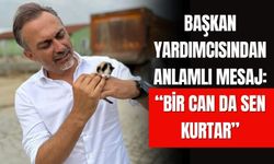 Barınak Değil, Yuva Olsun! Özdemir Vatandaşlara Seslendi