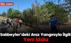 Salıbeyler’deki Anız Yangınıyla İlgili Yeni İddia