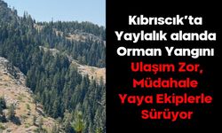 Bolu Kıbrıscık’ta Yaylalık alanda Orman Yangını:  Ulaşım Zor, Müdahale Yaya Ekiplerle Sürüyor