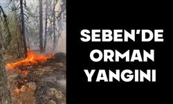 Seben’de orman yangını