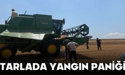 Tarlada Yangın Paniği!