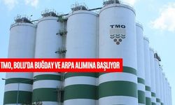 TMO, BOLU'DA BUĞDAY VE ARPA ALIMINA BAŞLIYOR