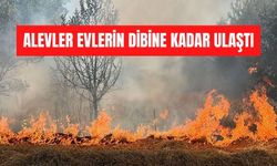 Bolu’da faciadan dönüldü: ALEVLER EVLERİN DİBİNE KADAR ULAŞTI