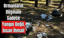 DUYARSIZLIK DOĞAYI HEM ATEŞLE HEM ATIKLA YAKIYOR