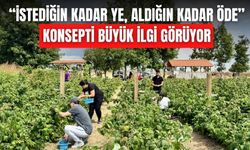 Genç girişimciden 15 dönümlük meyve bahçesi