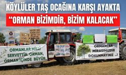 Bolu’da Köylüler Taş Ocağına Karşı Ayakta