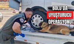 Bolu’da Narkotik Operasyonu