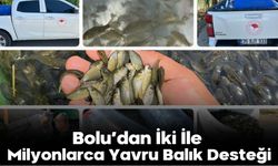 Bolu’dan İki İle Milyonlarca Yavru Balık Desteği