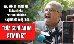 Av. Yüksel Gültekin, Bakanlıkları sorumluluktan kaçmakla eleştirdi